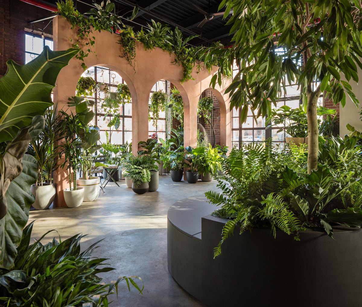 World S First Biophilic Design Store Launches In Brooklyn